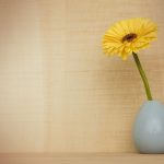 Ways To Refresh Your Apartment For Spring - Eight Eleven Uptown