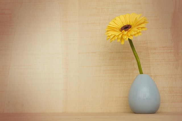 Ways To Refresh Your Apartment For Spring - Eight Eleven Uptown